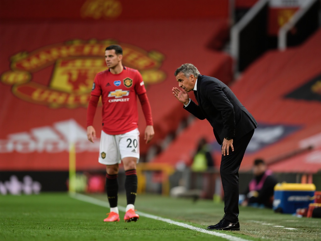 体系培养出 体系培养出